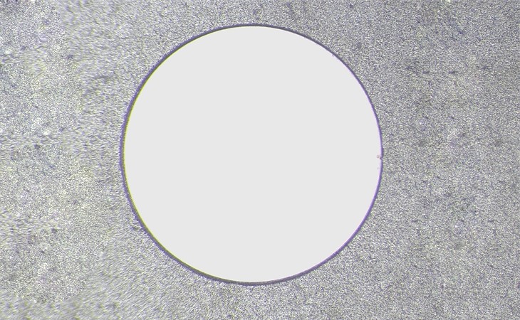 1593425233283587.jpg 石墨烯樣品修改.jpg